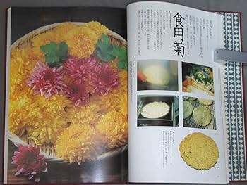 味匠 全22巻セット 魯山人　講談社　あじのたくみ　伝承100年の料理 Amazon.co.jp: 古書（料理本）：伝承1000年の料理「味匠（あじの